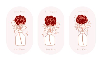 Set of hand drawn vintage pink botanical rose flower, peony, water bottle, jar, and leaf branch vector illustration elements for feminine logo and beauty brand