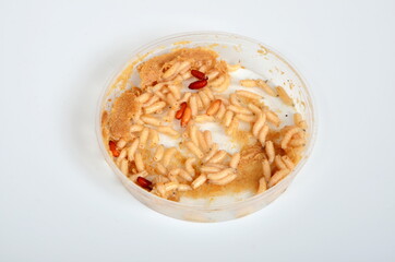 White maggots in a plastic box. common house fly (Musca domestica) worms. bait for fishing