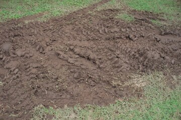 Mud with tire tracks that are still wet in a bare field without green grass