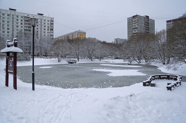 The recently frozen city pond.