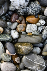 Background from natural gray and colored wet pebbles close-up in natural environment