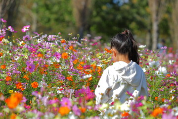 花畑にいる少女