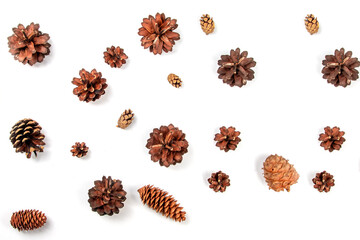 Christmas background, pine cones on a white background, flat lay