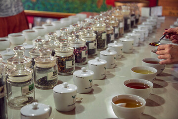 Tea tasting in Sri Lanka