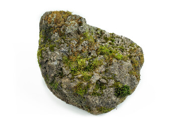 Old stones on a white background overgrown with moss