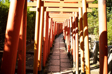 Senbon Torii of Nezu Shrine in Tokyo, Japan