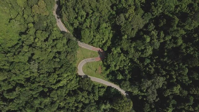 Aerial ascending view of winding road through green jungle