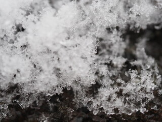 積もり始めの雪