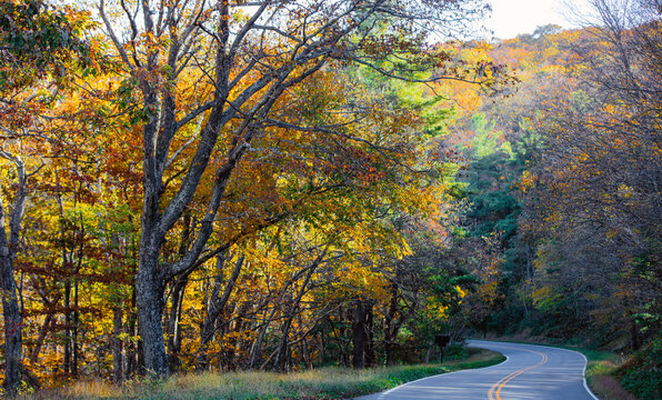 Shenandoah National Park Fall Foliage