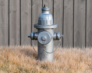 Silver fire hydrant in grass with wood fence