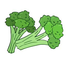 Broccoli green, two pieces. Freehand drawing with a dark outline, with highlights.