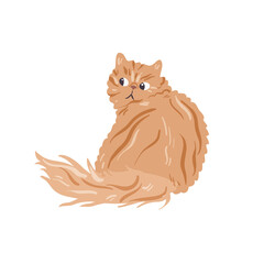 Isolated on white persian cat vector illustration. Shirazi breed design element. Pet in cartoon style.