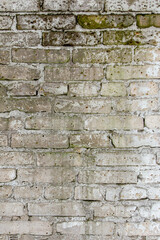 Brick wallpaper, texture. Background for creative design. The white material is covered with mold.