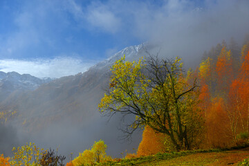 Autumn Alpine landscape