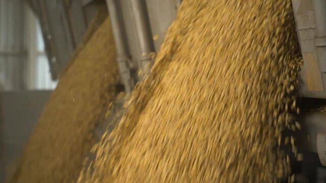 The grain is slowly falling into one pile, the footages are shot in slow motion