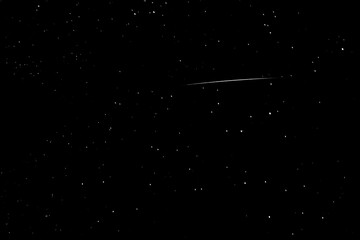 Obraz na płótnie Canvas Leonids meteorite shower 2020, a single streak, tapered at both ends, across a background of stars. Dark night sky, black and white