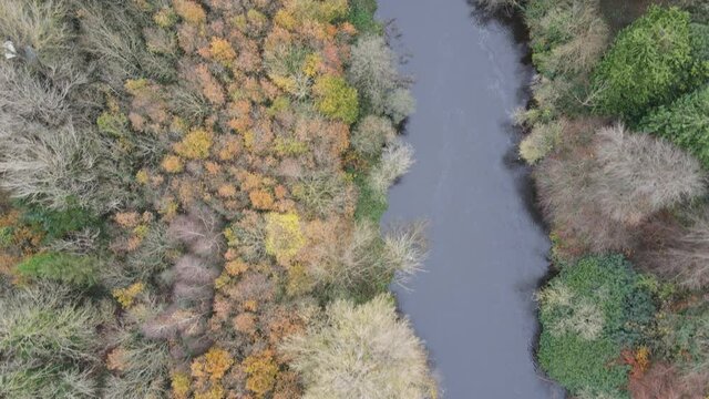 Autumn forest fall season river Liffey Dublin Ireland aerial