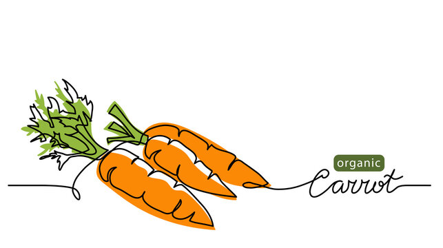 Carrot Vector Illustration, Background. One Line Drawing Art Illustration With Lettering Organic Carrot.