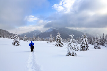 Magical winter forests. Photographer tourist stays on the lawn covered with snow. High mountains with snow white peaks, trees in the snowdrifts. Snowy background. Nature scenery.