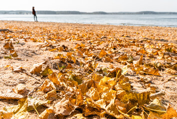 Autumn Leaves with Lake and Woman in the Background