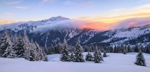 Awesome sunrise. High mountains with snow white peaks. A panoramic view of the covered with frost trees in the snowdrifts. Winter forest. Natural landscape with beautiful sky.