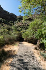 Path in the Sierra Nevada mountain