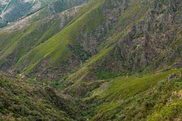 Close up of a rugged mountain. Textured landscape. Yellow and green vegetation.