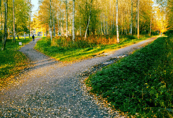 The two paths in the park and the travelers diverge in different directions. Autumn conceptual landscape