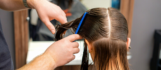 Fototapeta premium Hands of a hairdresser combing the hair of a young woman parted in sections at the barbershop