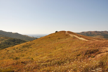 Fototapeta premium Wild sea bay, hills and islands. Russian nature, Far East, Primorsky Krai, Vladivostok, Russia. 