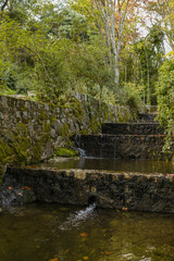 Obraz premium Natural water spring in green forest