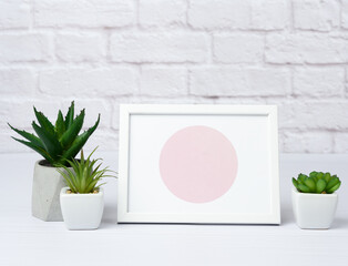 empty white wooden frame and green succulents in a ceramic pot on a white wall background