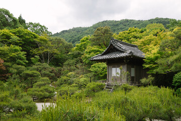 ancient traditional japanese building hut structure hidden in foliage greenary tall grass, and trees. During summer, but cloudy skies, in kyoto japan