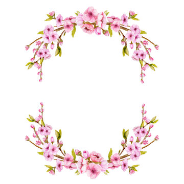 Watercolor Sakura wreath. Hand drawn Blossoning cherry branches frame. Spring Half wreath