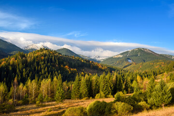 Fototapeta na wymiar Amazing mountain landscape with colorful trees and herbs. Autumn sunny morning. Carpathian, Ukraine, Europe