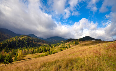 Amazing mountain landscape with colorful trees and herbs. Autumn sunny morning. Carpathian, Ukraine, Europe