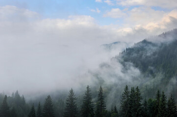 Fototapeta premium Mountain landscape in the morning mist after rain