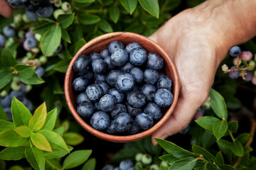 blueberries in a wooden bowl