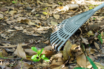 A plastic rake that rakes out dry leaves in the garden.