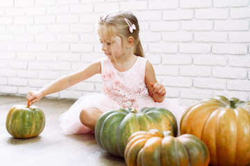 Fototapeta premium Little girl in pink dress sitting on wooden floor and playing with pile of pumpkins