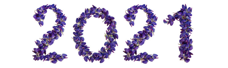 Lettering 2021 made from fresh purple lupine flowers on a white background. Isolated, closeup. Happy New Year.