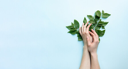 Beautiful female tender hands hold flowers on a bright sky blue background. The concept of hand care and respect for nature.