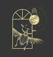 Magic witchcraft window silhouette with Curculionidae beetle and full moon like light bulb. Vector illustration