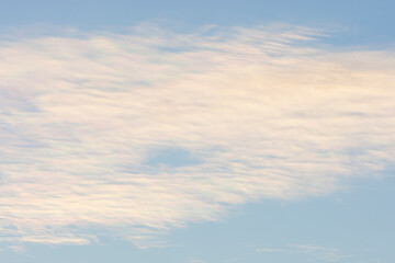 Spectacular starling mumuration at sunset