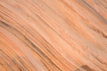 Page, AZ, USA. Detail view of the texture of desert rock formations.