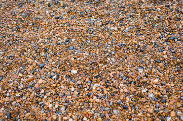 Detail view of damp pebbels on a beach.