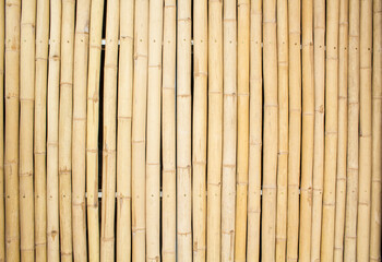 bamboo background