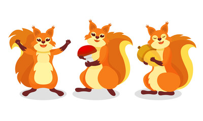 Fluffy Squirrel Holding Mushroom and Acorn Vector Set