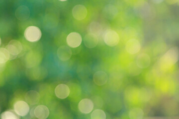 green bokeh background