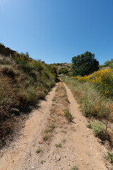 dirt track in the field